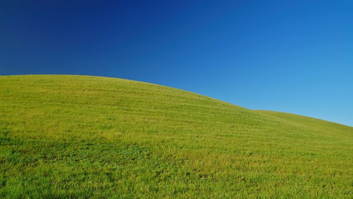 Green grassy hill against a clear blue sky