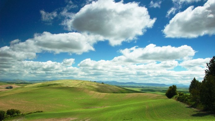 Rolling green hills under a blue sky with white clouds