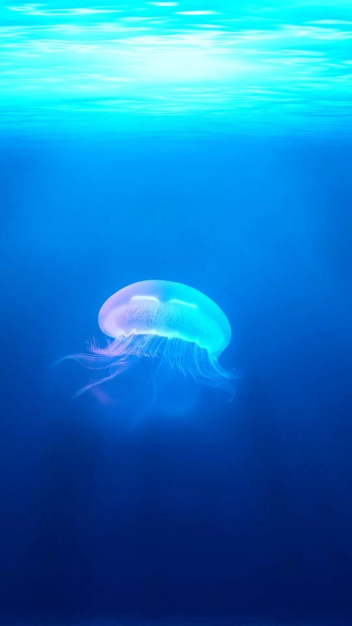 A jellyfish swimming in the deep blue sea, illuminated by natural light