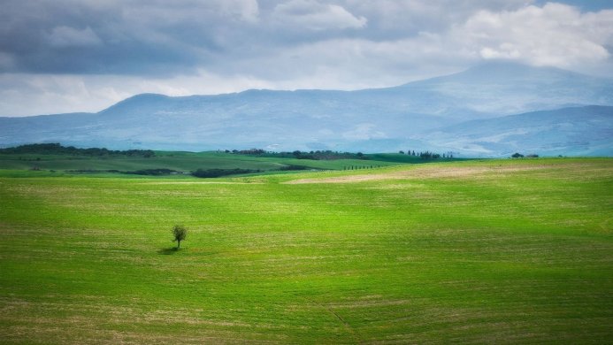 A lone tree in a vast green field under a cloudy sky with mountains in the background