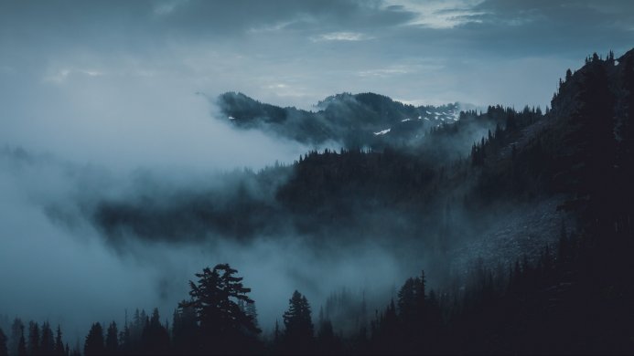 Misty mountains with trees, shrouded in fog, with a cool blue and gray color palette