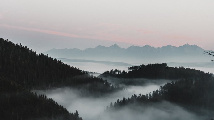 Mountain landscape with fog covering the forest in a valley with a pink sky