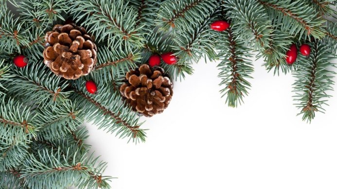 Pine cones, red berries, and fir branches on a white background for a Christmas theme