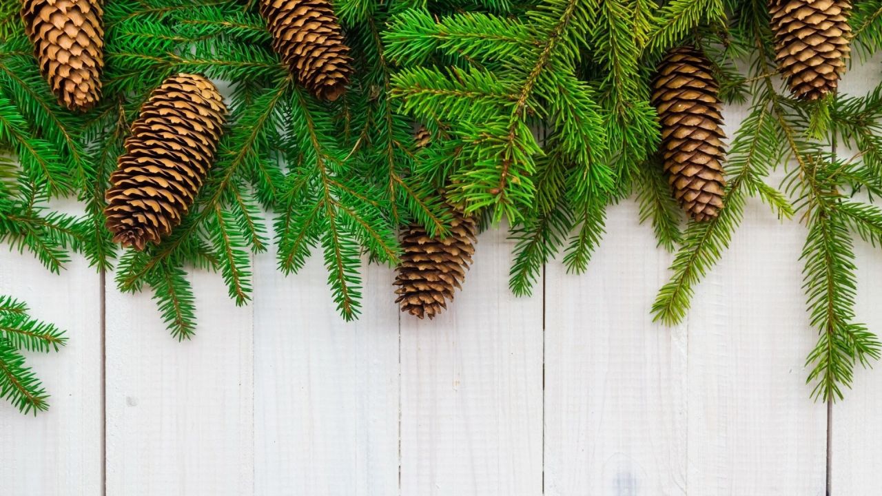 Pine cones and fir branches on white wood