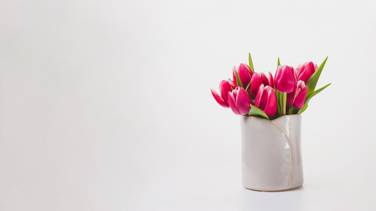 Pink tulips in a vase
