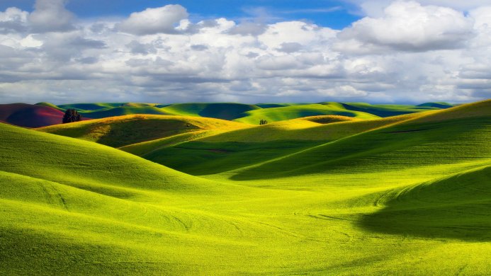 Rolling green and yellow hills under a blue sky with clouds