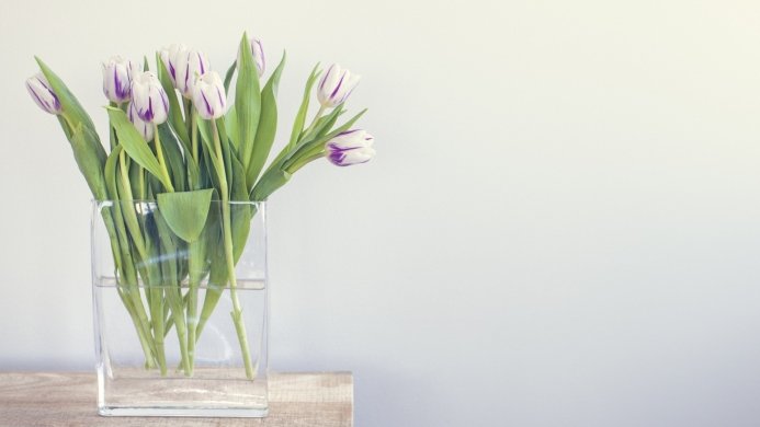 A clear vase filled with white and purple tulips with green leaves on a wooden surface