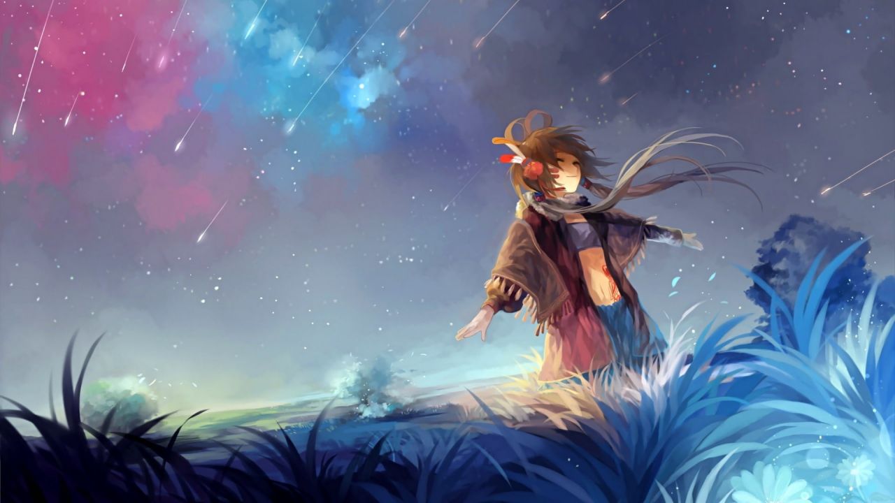 anime girl watching shooting stars in a field