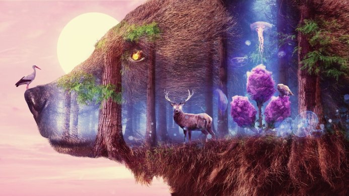 Double exposure image of bear face with forest, deer, stork, owl, jellyfish inside
