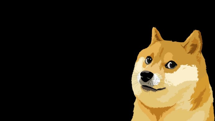 Doge meme illustration on a black background