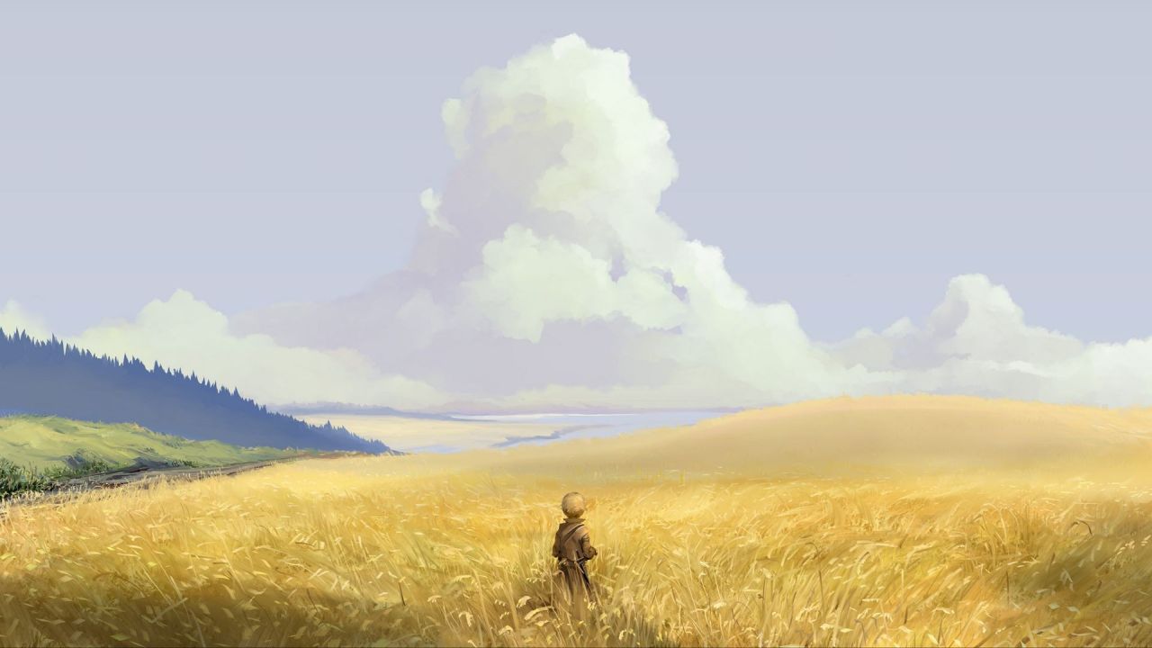 Person standing in a golden field looking at the horizon