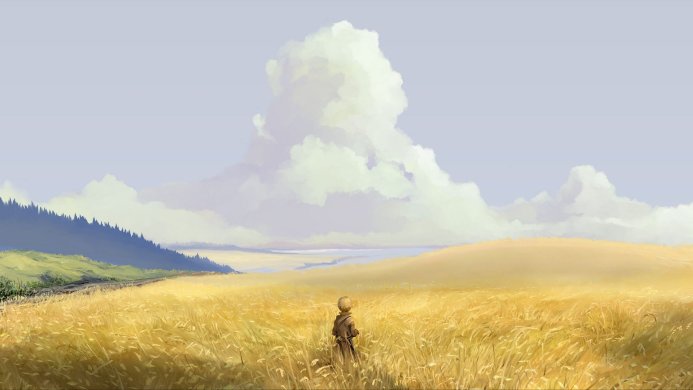 A person standing in a golden wheat field under a cloudy blue sky