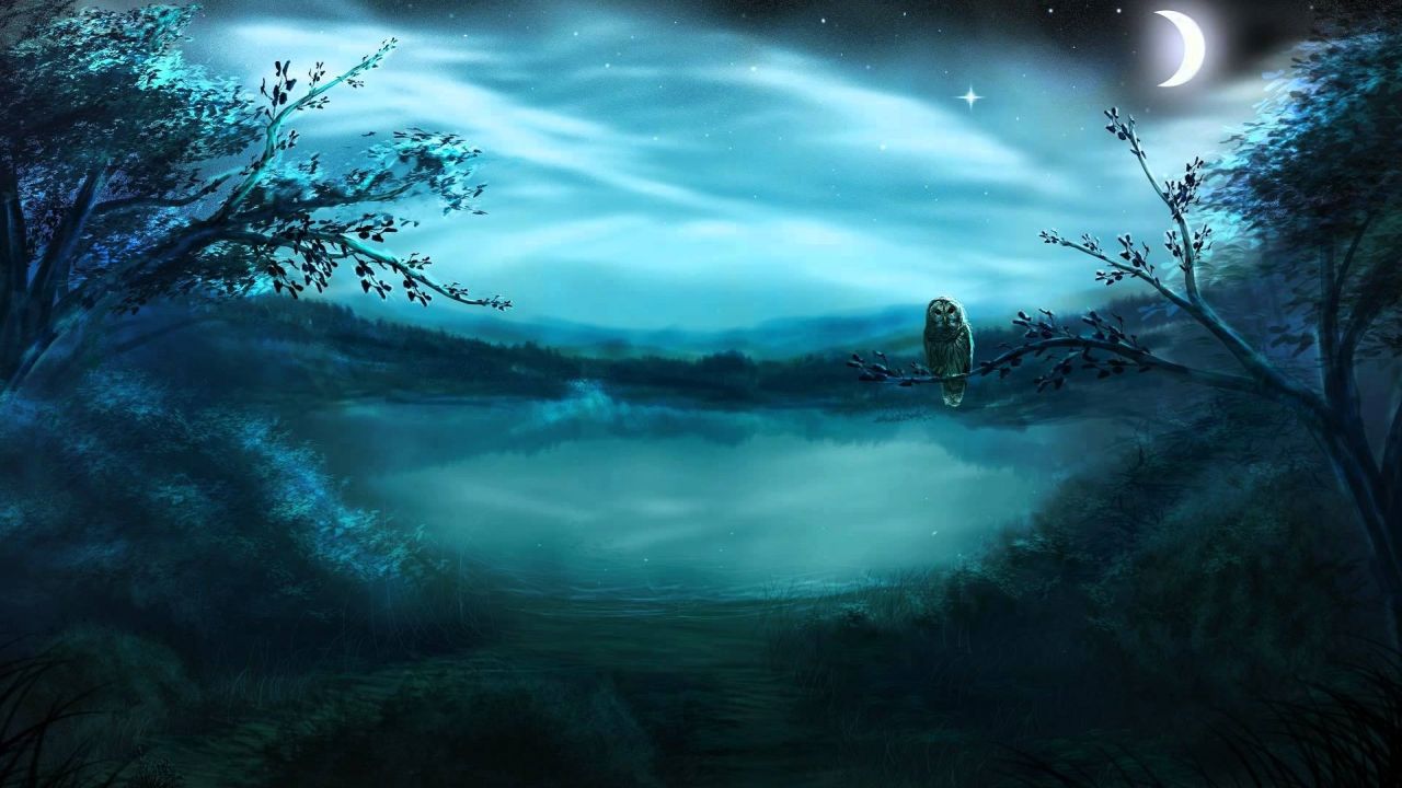 Owl on branch lake forest night stars moon landscape