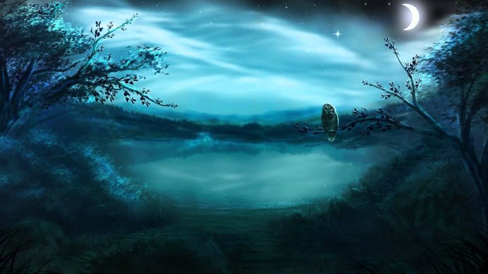 An owl sitting on a branch at night with a lake, the moon, and stars in the background