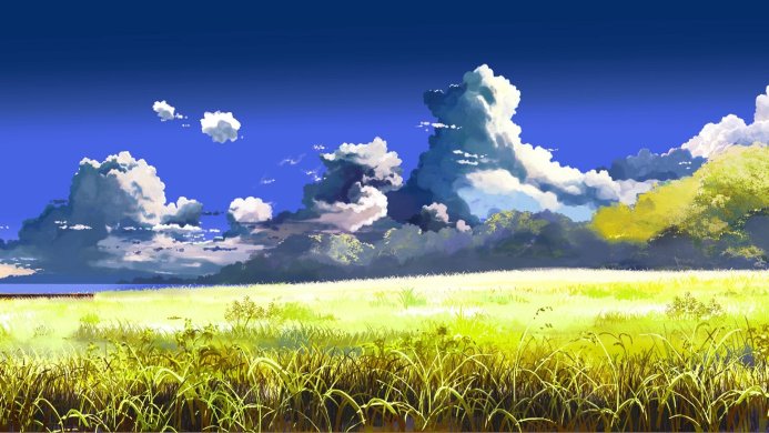 A sunny field with tall grass under a bright blue sky with fluffy clouds