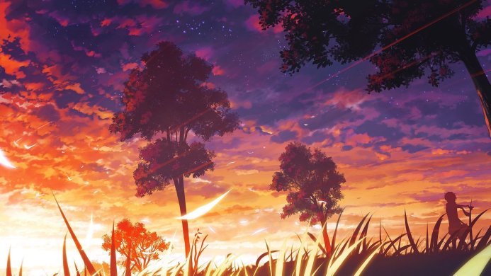 Landscape featuring trees and grass silhouetted against a vibrant sunset sky with orange, purple, and yellow hues