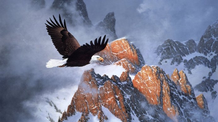 A Bald Eagle soars over snow-capped mountains