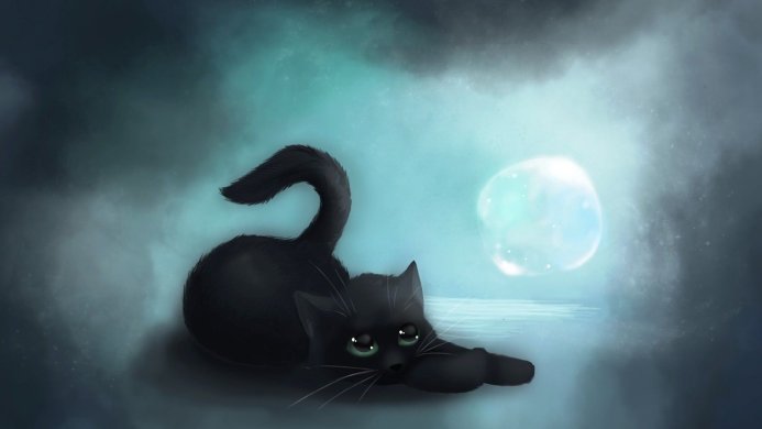 Illustration of a black cat stretching towards a glowing moon in a blue-toned night scene