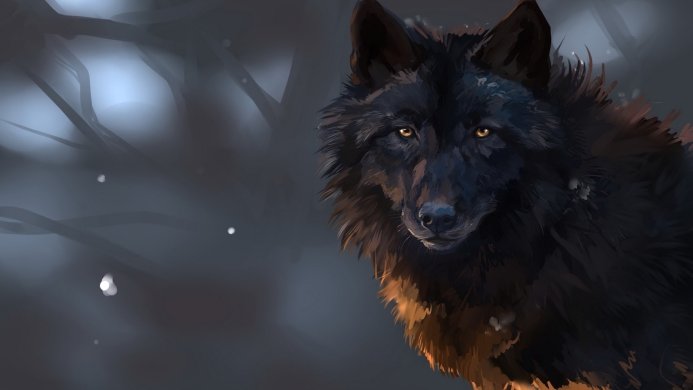 A dark wolf portrait against a blurred winter background