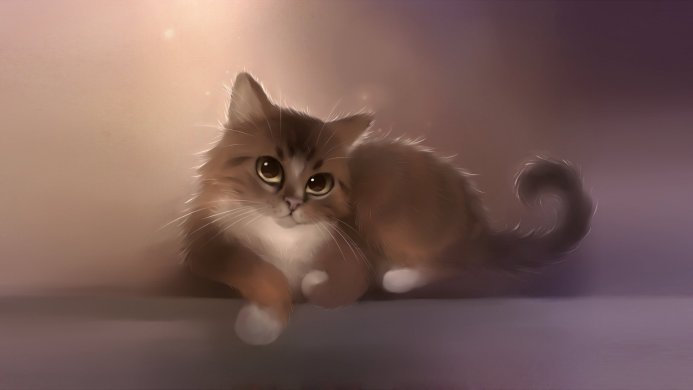 A fluffy brown and white cat with big eyes lying down