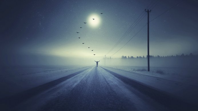 A person stands on a snowy road under a starry sky with birds flying towards a bright light