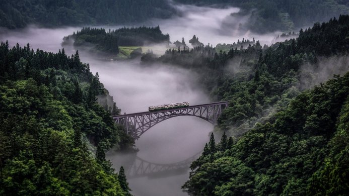 A train on a bridge surrounded by a dense, misty forest