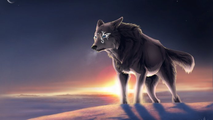 Wolf with glowing markings on its face standing on a snow-covered landscape at sunset