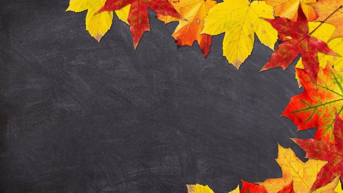 Colorful autumn leaves border a dark gray background with open space