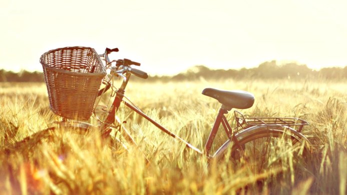 A red bicycle in a wheat field at sunset with a basket on the handlebars