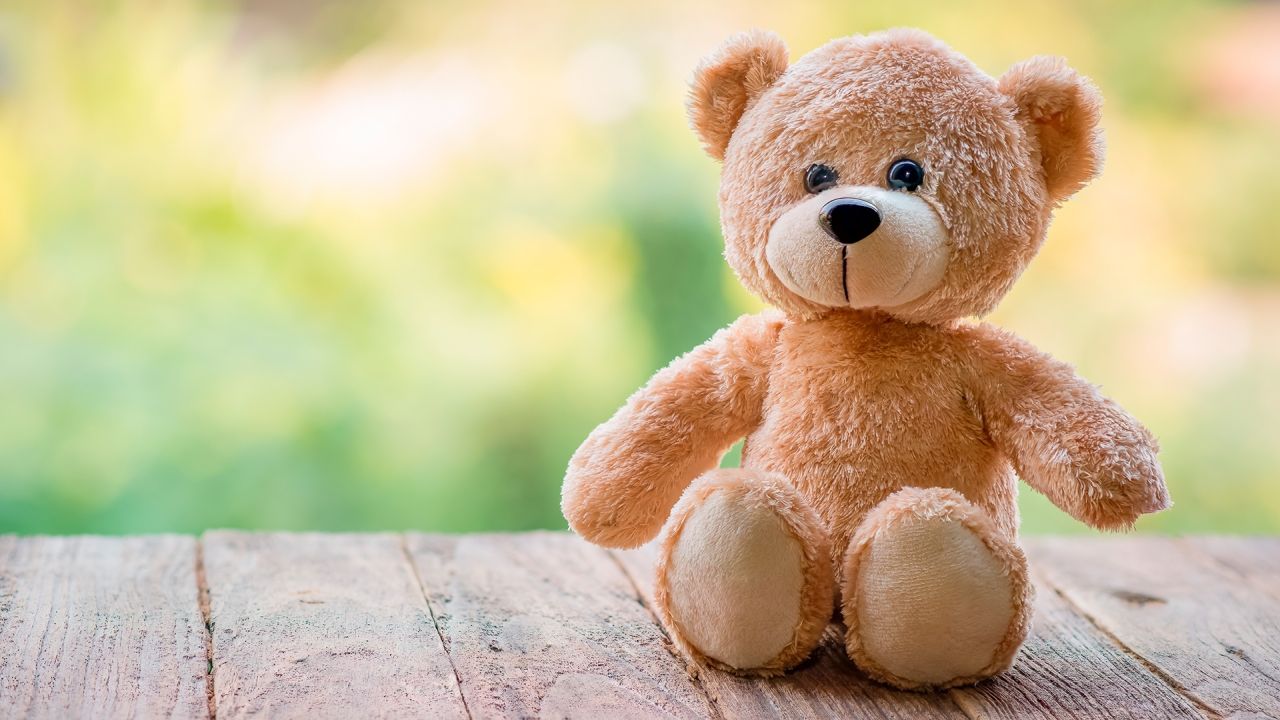 Cute teddy bear sitting