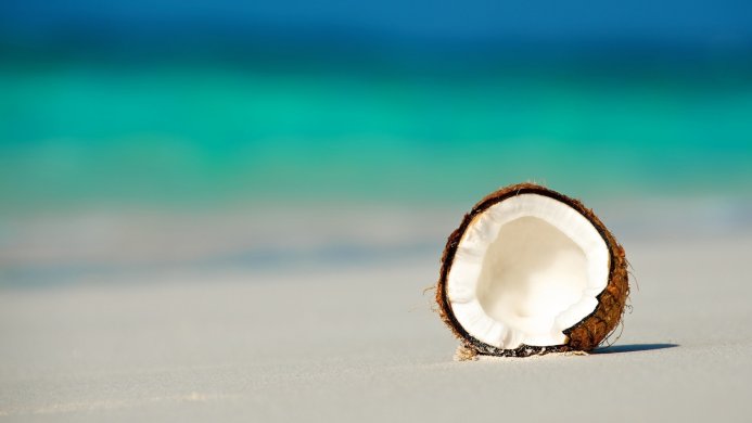 Half of a coconut on a white sand beach with turquoise water in the background