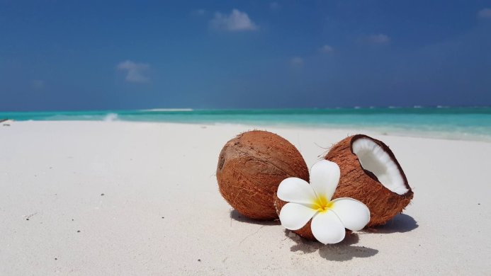 A coconut and flower on a white sand beach with a turquoise sea and blue sky