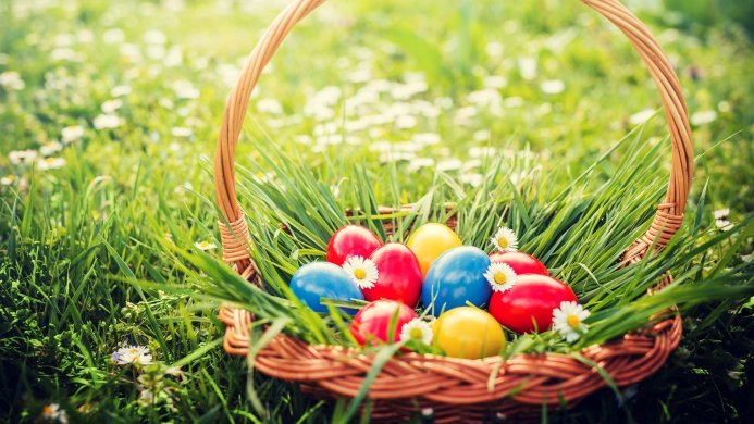 Easter eggs in a basket on the grass with daisies