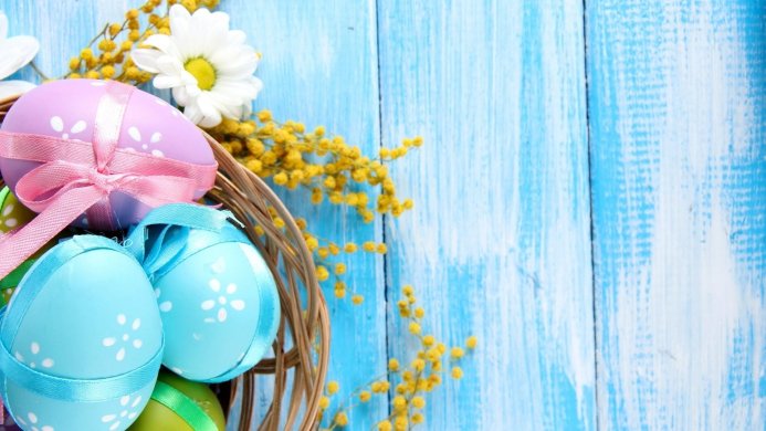Colorful Easter eggs in a basket with flowers on a light blue wooden background