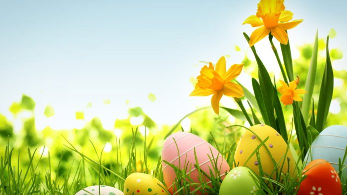 Colorful Easter eggs and daffodils in green grass against a bright background