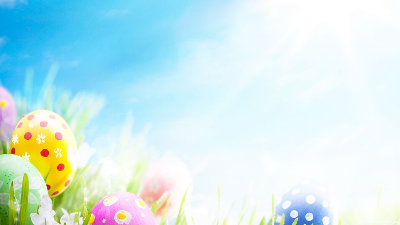 Colorful Easter eggs in grass