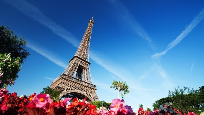 Eiffel Tower with red and pink flowers in the foreground on a clear blue day