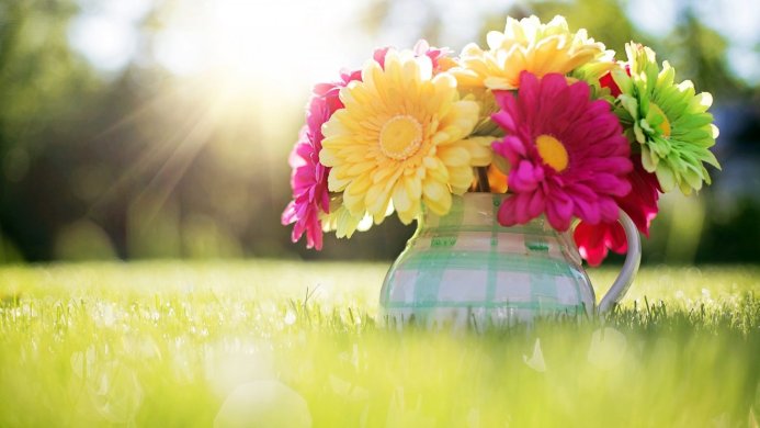 Colorful flowers in a vase on a green grass lawn, bathed in sunlight