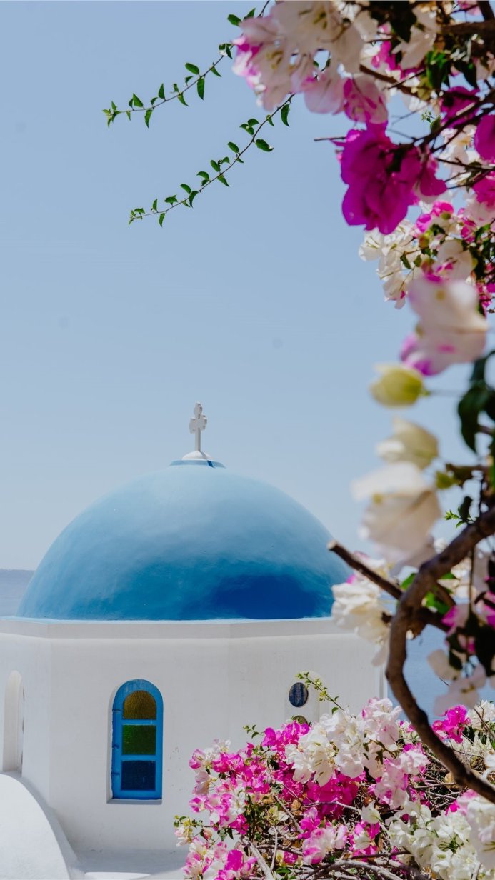 Blue dome church in Greece with pink and white flowers in the foreground