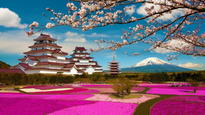 A Japanese castle and pagoda with Mount Fuji in the background, surrounded by pink flowers