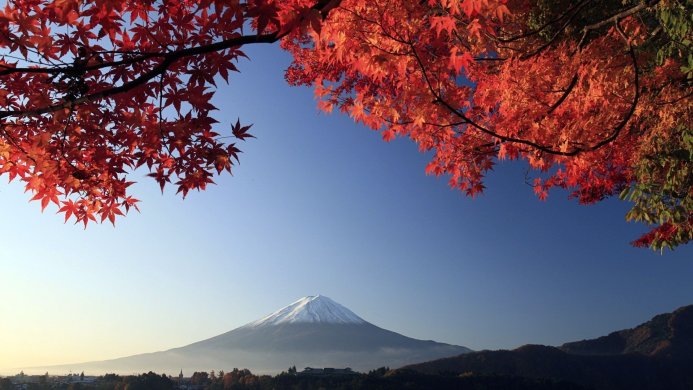 Mount Fuji with snow-capped peak framed by red maple leaves against a blue sky