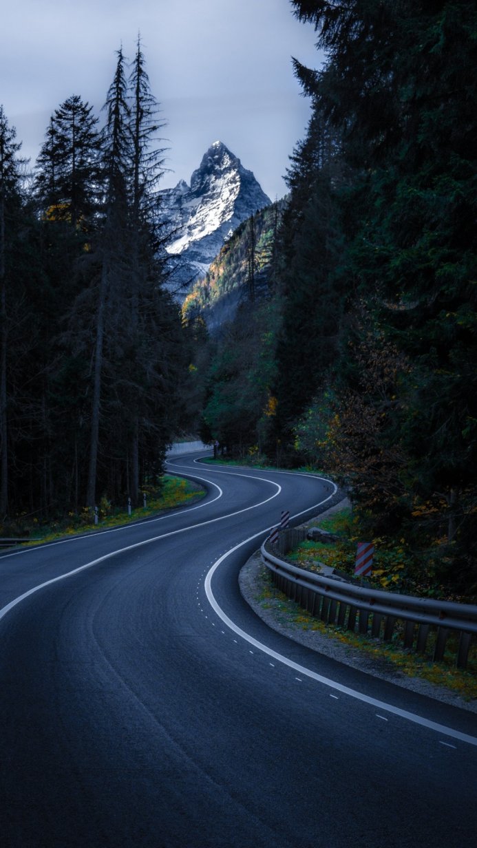 Winding road through a forest with a snow-capped mountain in the distance