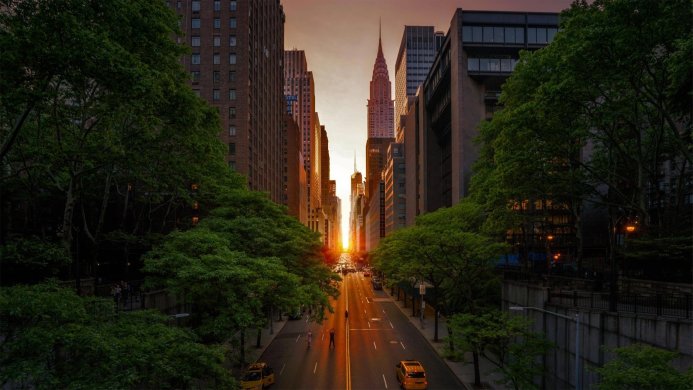 Chrysler building and cityscape in warm light framed by green trees