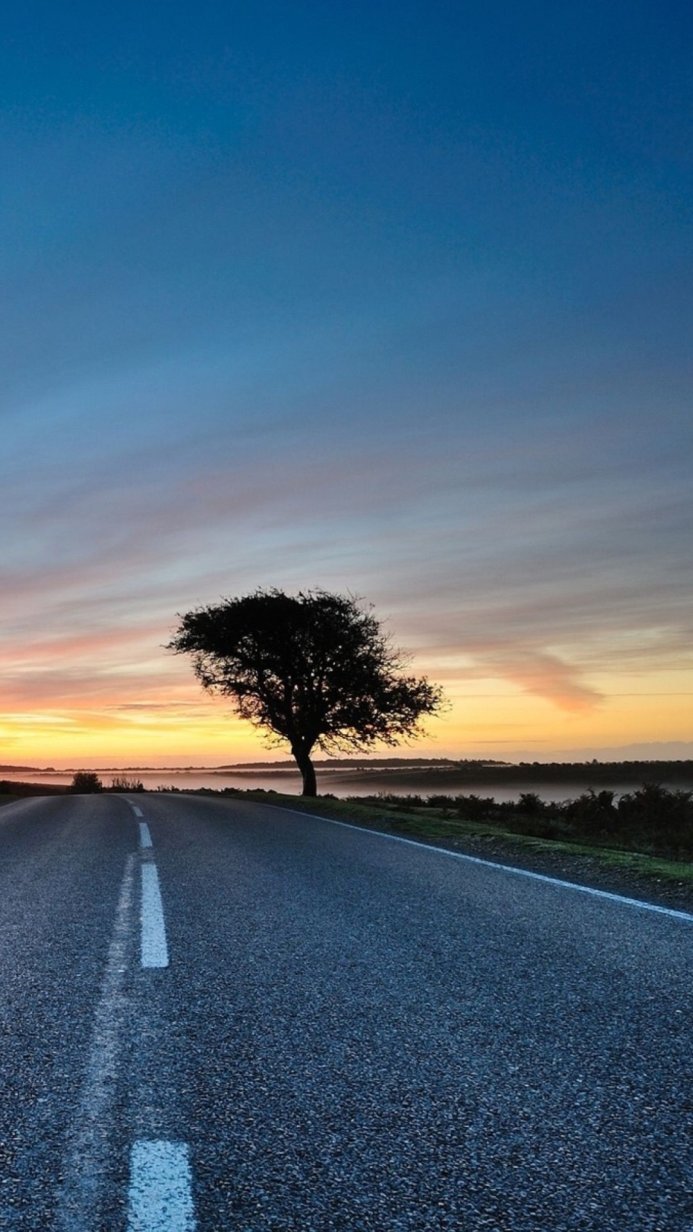 A road leading to the horizon with a tree silhouetted against a colorful sunset sky