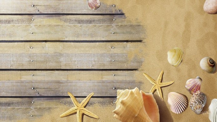 Seashells and starfish on a sandy beach with wooden planks