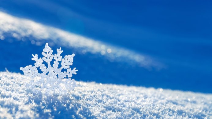 Close-up of a delicate snowflake on a snowy surface against a blue sky