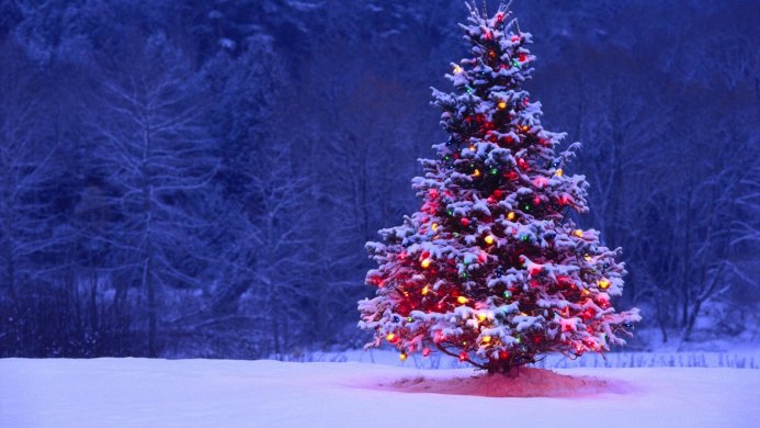 A snow-covered Christmas tree decorated with colorful lights in a winter landscape