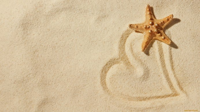 A starfish on sand with a heart shape drawn around it