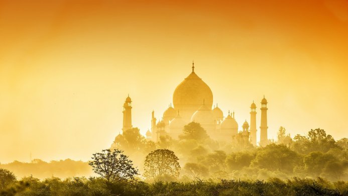 Taj Mahal in golden light, surrounded by trees and fog
