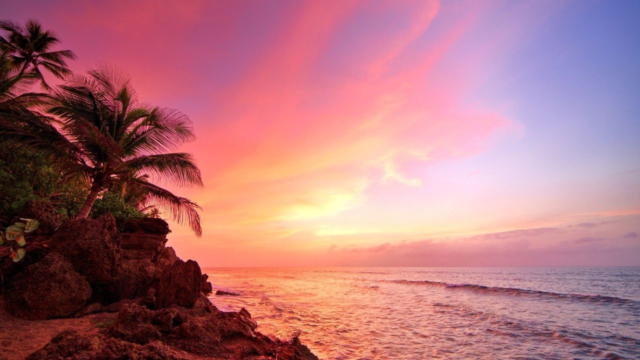 Palm trees at sunset on a tropical beach